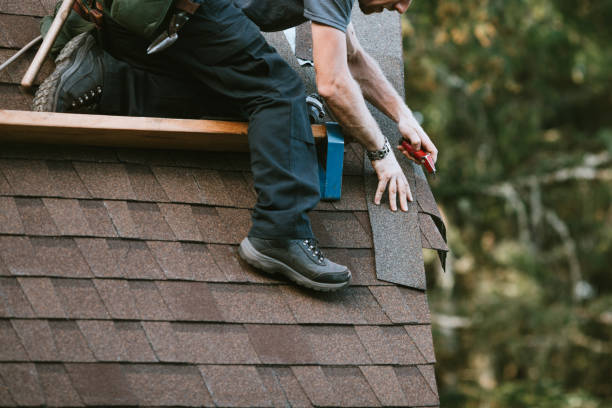 Best Roof Gutter Cleaning  in East Douglas, MA